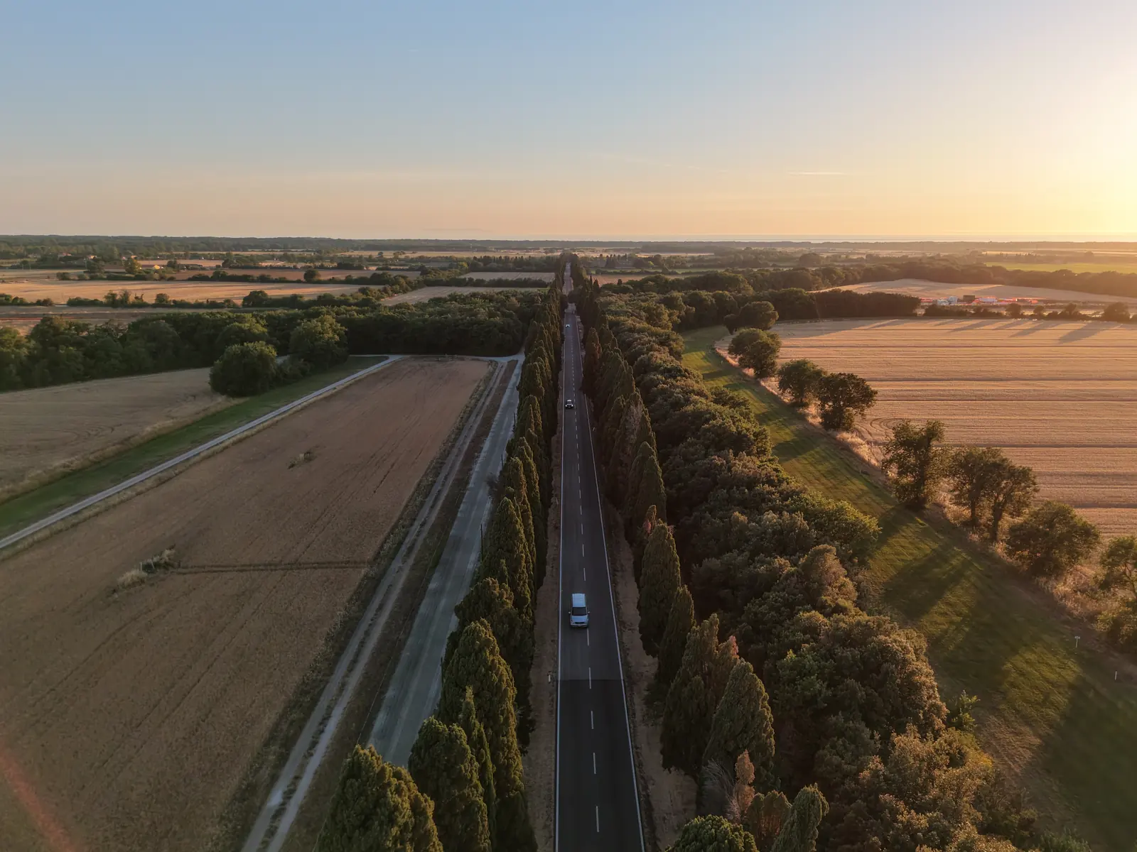 Viale di cipressi tra campi di grano al tramonto, campagna toscana vista dal drone