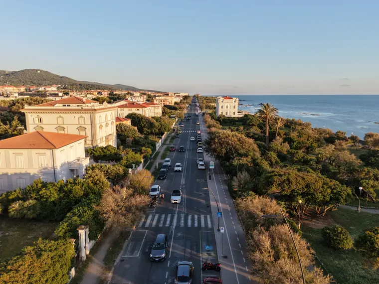 Viale alberato verso il mare al tramonto, foto aerea